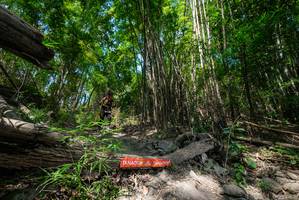 BIB: 
                            <button type="button" onclick="openModal(19394130)" class="btn btn-primary btn-sm float-right btn-popup" data-toggle="modal" data-target=".modal-high-quality">
                        <i class="fas fa-shopping-cart"></i> Add to Cart
                    </button>
                                            <button type="button" onclick="isThisMe(19394130, true)" class="btn btn-success btn-sm float-right btn-popup btn-isme hidden" data-toggle="tooltip" data-placement="bottom" title="นี่คือรูปของคุณใช่ไหม คลิกที่นี่เพื่อเอาเข้าอัลบั้ม">
                        <i class="fas fa-plus"></i> Add to album
                    </button>
                    <button type="button" onclick="isThisMe(19394130, false)" class="btn btn-warning btn-sm float-right btn-popup btn-isnotme hidden">
                        <i class="fas fa-ban"></i> Remove from album
                    </button>